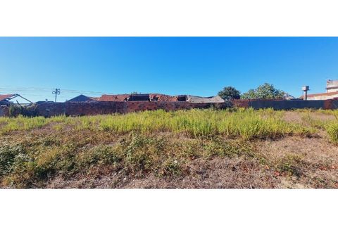 Helårsgrund i Moita, Leiria, Moita - € 40.000 | Ref: TER_203 - foto 16