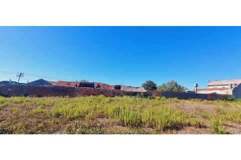 Helårsgrund i Moita, Leiria, Moita - € 40.000 | Ref: TER_203 - foto 17