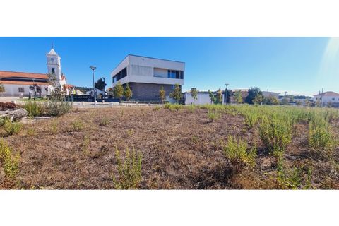 Helårsgrund i Moita, Leiria, Moita - € 40.000 | Ref: TER_203 - foto 19