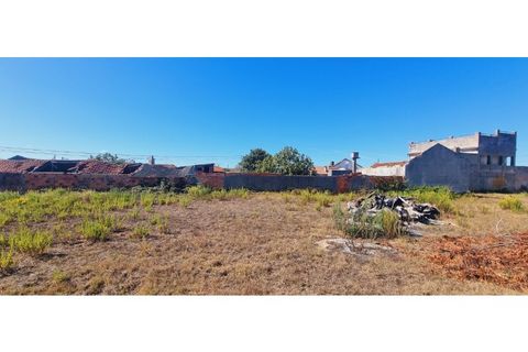 Helårsgrund i Moita, Leiria, Moita - € 40.000 | Ref: TER_203 - foto 21