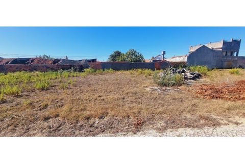 Helårsgrund i Moita, Leiria, Moita - € 40.000 | Ref: TER_203 - foto 22