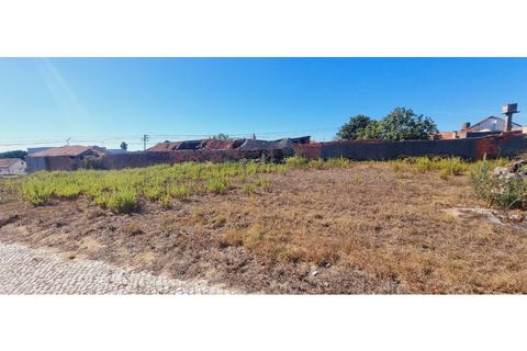 Helårsgrund i Moita, Leiria, Moita - € 40.000 | Ref: TER_203 - foto 23