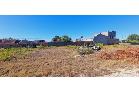 Helårsgrund i Moita, Leiria, Moita - € 40.000 | Ref: TER_203 - foto 24