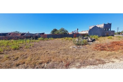 Helårsgrund i Moita, Leiria, Moita - € 40.000 | Ref: TER_203 - foto 25
