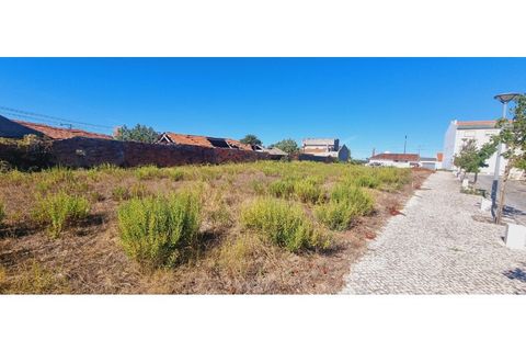 Helårsgrund i Moita, Leiria, Moita - € 40.000 | Ref: TER_203 - foto 26