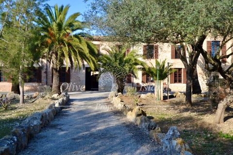 Landejendom i Manacor, Mallorca, Manacor - € 10.800.000 | Ref: MAN400 - foto 5