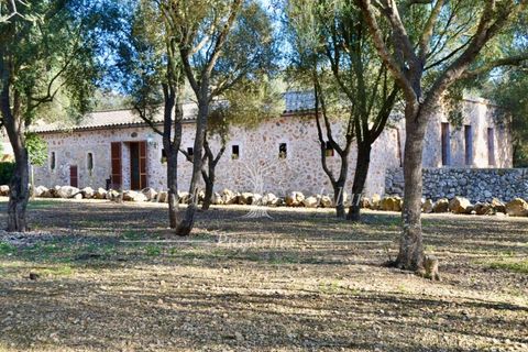 Landejendom i Manacor, Mallorca, Manacor - € 10.800.000 | Ref: MAN400 - foto 2