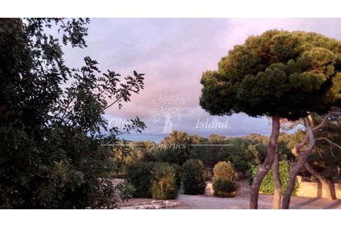 Landejendom i Manacor, Mallorca, Manacor - € 10.800.000 | Ref: MAN400 - foto 13