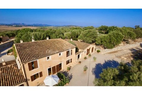 Landejendom i Manacor, Mallorca, Manacor - € 10.800.000 | Ref: MAN400 - foto 15