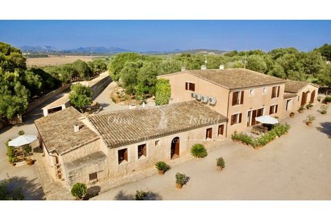 Landejendom i Manacor, Mallorca, Manacor - € 10.800.000 | Ref: MAN400 - foto 23