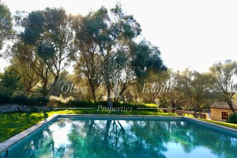 Landejendom i Manacor, Mallorca, Manacor - € 10.800.000 | Ref: MAN400 - foto 26