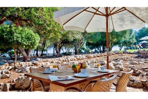 Landejendom i Manacor, Mallorca, Manacor - € 10.800.000 | Ref: MAN400 - foto 36