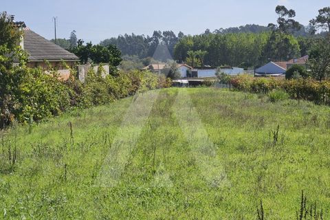 Grond in Eixo e Eirol, Aveiro, Eixo e Eirol - € 77.500 | Ref: 1011705/23 GL - foto 5