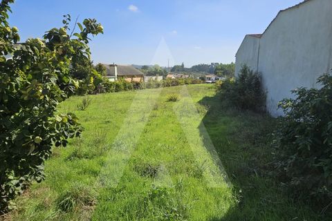 Grond in Eixo e Eirol, Aveiro, Eixo e Eirol - € 77.500 | Ref: 1011705/23 GL - foto 6