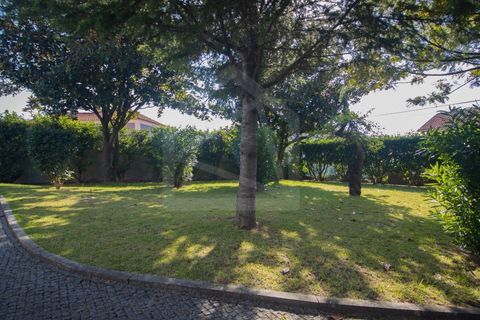 Villa i Vila de Cucujaes, Aveiro, Vila de Cucujaes - € 330.000 | Ref: 7661 - foto 2