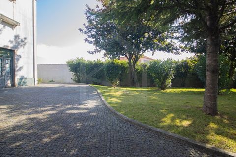 Villa i Vila de Cucujaes, Aveiro, Vila de Cucujaes - € 330.000 | Ref: 7661 - foto 3