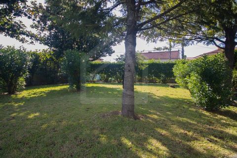 Villa i Vila de Cucujaes, Aveiro, Vila de Cucujaes - € 330.000 | Ref: 7661 - foto 4