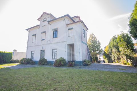Villa i Vila de Cucujaes, Aveiro, Vila de Cucujaes - € 330.000 | Ref: 7661 - foto 10
