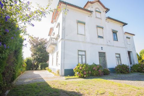 Villa i Vila de Cucujaes, Aveiro, Vila de Cucujaes - € 330.000 | Ref: 7661 - foto 11