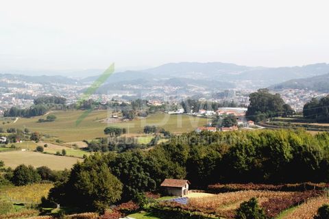 Farm i Roriz, Porto, Roriz - € 425.000 | Ref: BF2309S27Q1 - foto 33
