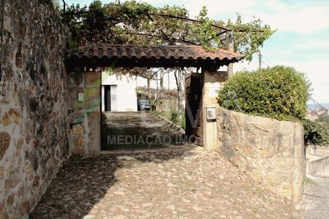 Farm i Roriz, Porto, Roriz - € 425.000 | Ref: BF2309S27Q1 - foto 35
