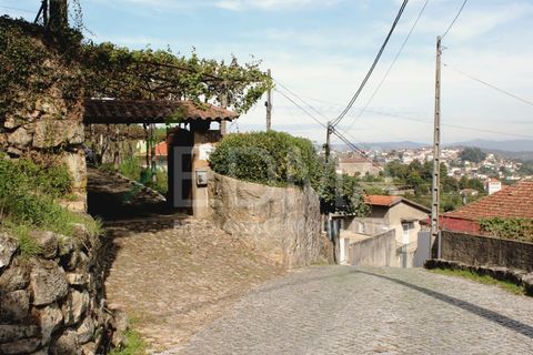 Farm i Roriz, Porto, Roriz - € 425.000 | Ref: BF2309S27Q1 - foto 36