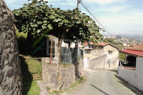 Farm i Roriz, Porto, Roriz - € 425.000 | Ref: BF2309S27Q1 - foto 37