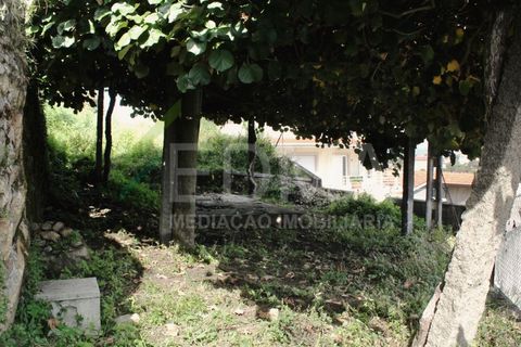 Farm i Roriz, Porto, Roriz - € 425.000 | Ref: BF2309S27Q1 - foto 38