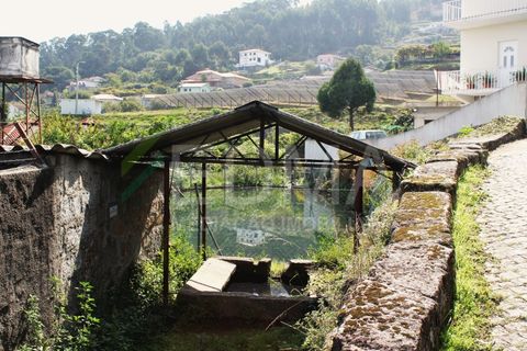 Farm i Roriz, Porto, Roriz - € 425.000 | Ref: BF2309S27Q1 - foto 39