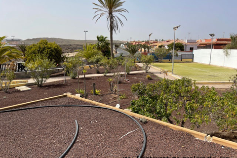 Byhus i Corralejo, Fuerteventura, Corralejo - € 600.000 | Ref: 38 - foto 7