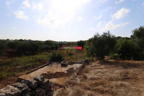 Helårsgrund i Cisternino, Brindisi, Cisternino - € 28.000 | Ref: D120 - foto 2