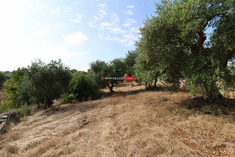 Helårsgrund i Cisternino, Brindisi, Cisternino - € 28.000 | Ref: D120 - foto 3