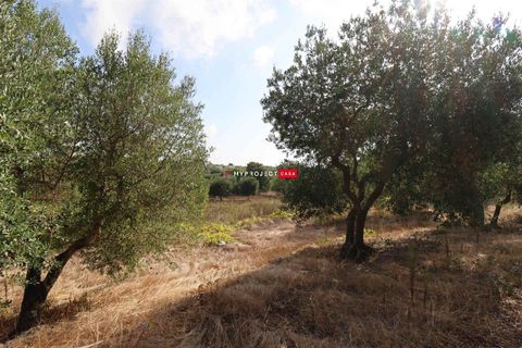Helårsgrund i Cisternino, Brindisi, Cisternino - € 28.000 | Ref: D120 - foto 5