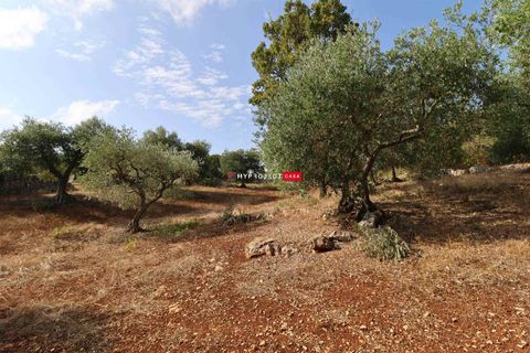 Helårsgrund i Cisternino, Brindisi, Cisternino - € 28.000 | Ref: D120 - foto 6