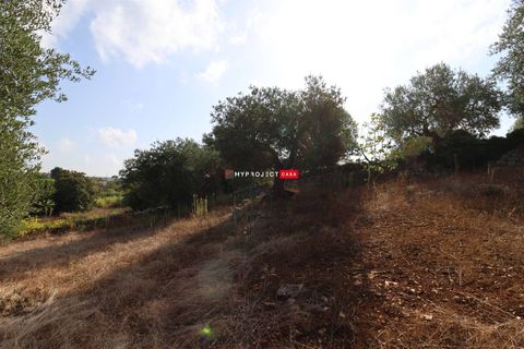 Helårsgrund i Cisternino, Brindisi, Cisternino - € 28.000 | Ref: D120 - foto 7