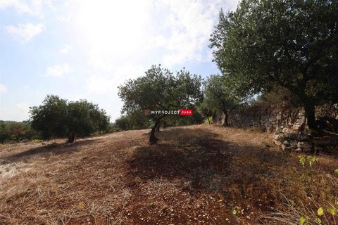Helårsgrund i Cisternino, Brindisi, Cisternino - € 28.000 | Ref: D120 - foto 8