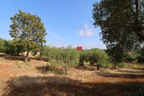 Helårsgrund i Cisternino, Brindisi, Cisternino - € 28.000 | Ref: D120 - foto 9