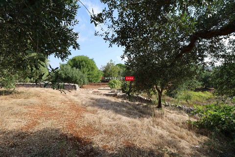 Helårsgrund i Cisternino, Brindisi, Cisternino - € 28.000 | Ref: D120 - foto 10