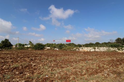 Helårsgrund i Cisternino, Brindisi, Cisternino - € 38.000 | Ref: D121 - foto 5