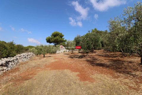 Landsbyhus i Cisternino, Brindisi, Cisternino - € 39.000 | Ref: D122 - foto 3