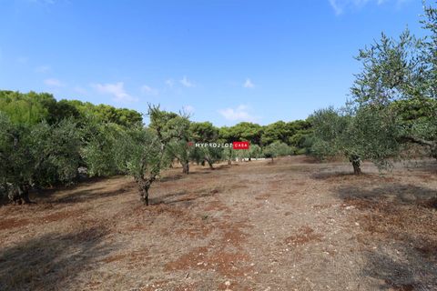 Landsbyhus i Cisternino, Brindisi, Cisternino - € 39.000 | Ref: D122 - foto 5