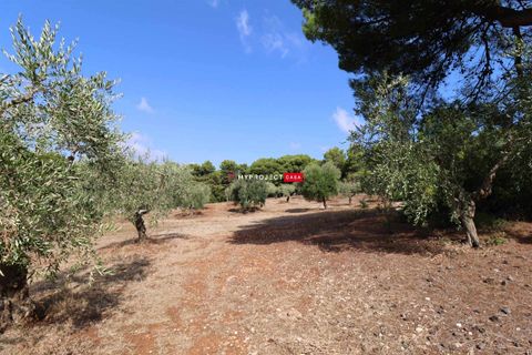Landsbyhus i Cisternino, Brindisi, Cisternino - € 39.000 | Ref: D122 - foto 6