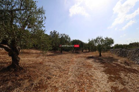 Landsbyhus i Cisternino, Brindisi, Cisternino - € 39.000 | Ref: D122 - foto 11