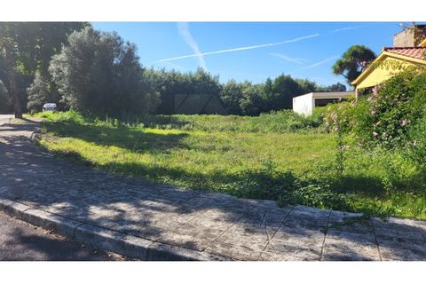 Helårsgrund i Ponte de Lima, Viana do Castelo, Ponte de Lima - € 130.000 | Ref: MDS3921 - foto 2