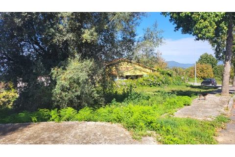 Helårsgrund i Ponte de Lima, Viana do Castelo, Ponte de Lima - € 130.000 | Ref: MDS3921 - foto 4
