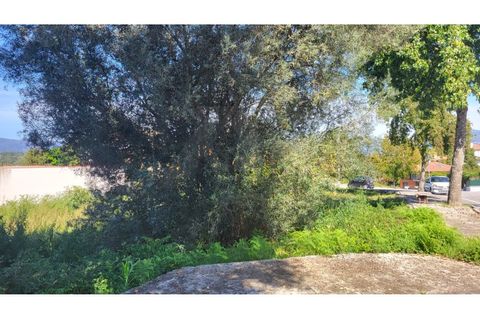 Helårsgrund i Ponte de Lima, Viana do Castelo, Ponte de Lima - € 130.000 | Ref: MDS3921 - foto 5
