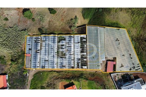 Helårsgrund i Calheta, Madeira, Calheta - € 525.000 | Ref: DEED/759 - foto 1