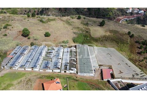 Helårsgrund i Calheta, Madeira, Calheta - € 525.000 | Ref: DEED/759 - foto 2