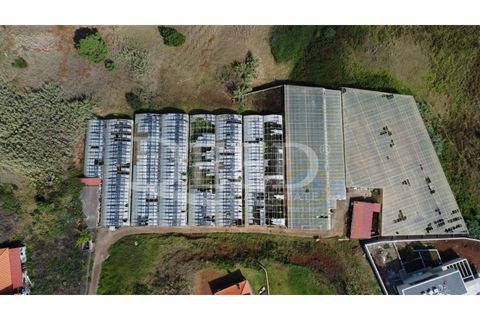 Helårsgrund i Calheta, Madeira, Calheta - € 525.000 | Ref: DEED/759 - foto 4