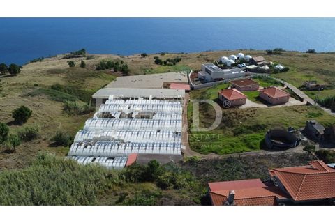 Helårsgrund i Calheta, Madeira, Calheta - € 525.000 | Ref: DEED/759 - foto 5